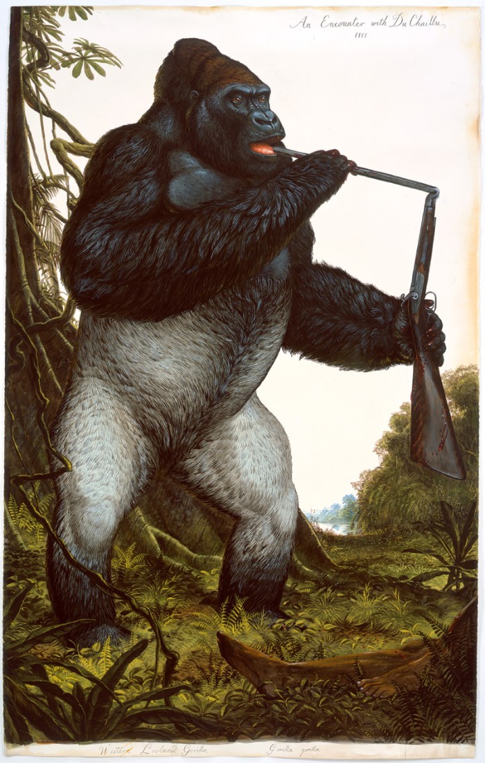 03_WaltonFord_AnEncounterWithDuChaillu1 copy