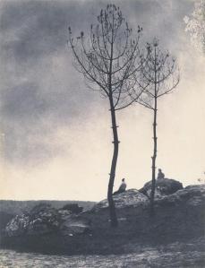 Eugène Cuvelier; Pras de la Caverne; early 1860s; salted paper print from paper negative; The Metropolitan Museum of Art