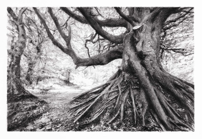 Celia de Serra Terra Firma Pencil 2014