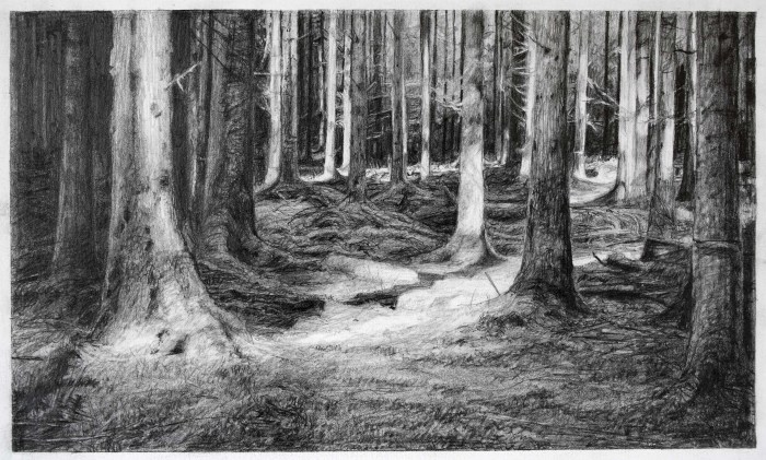 Celia de Serra The Dark Woods Pencil 2014
