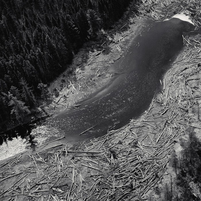 Wood [Maisel, Forest 38]